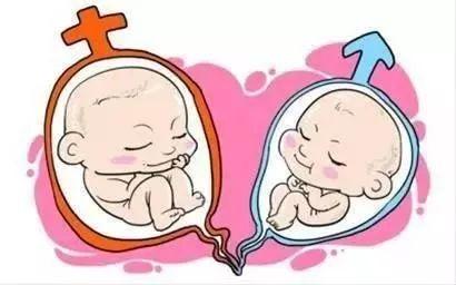 第三代试管婴儿